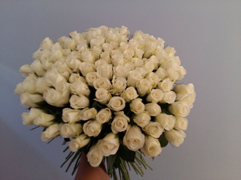 bílé růže 100